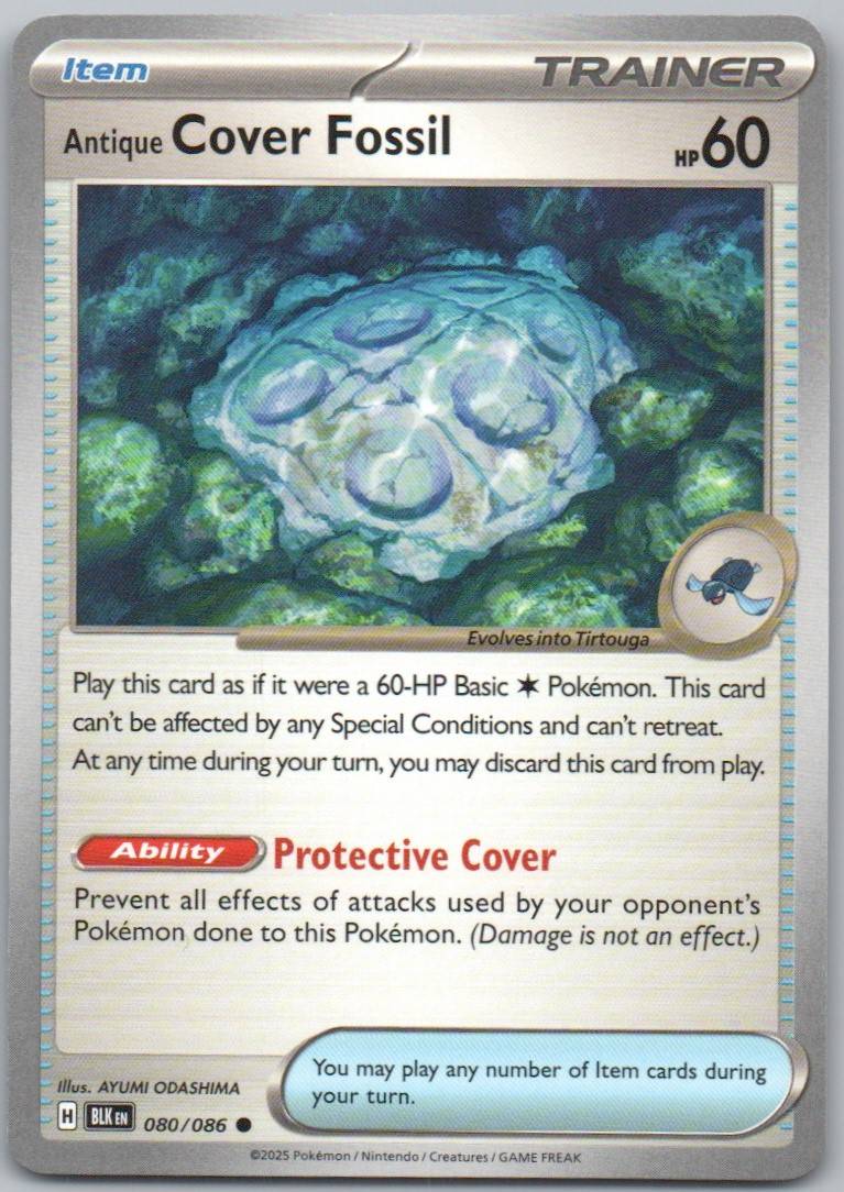 80 - Antique Cover Fossil