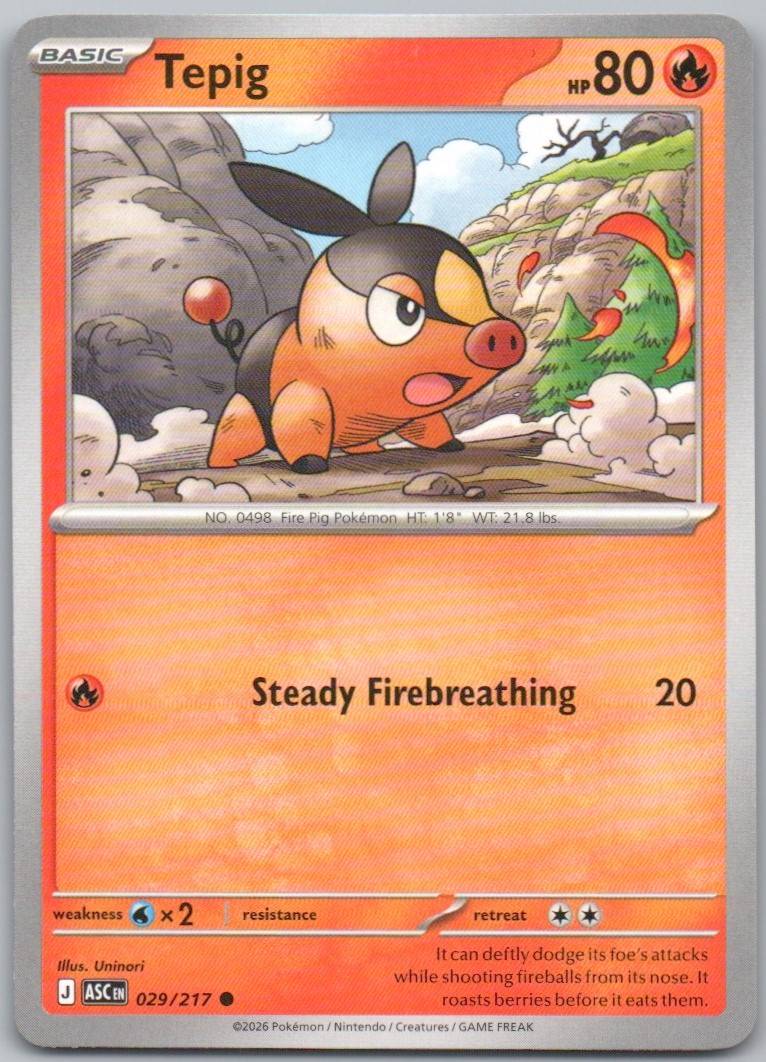 29 - Tepig