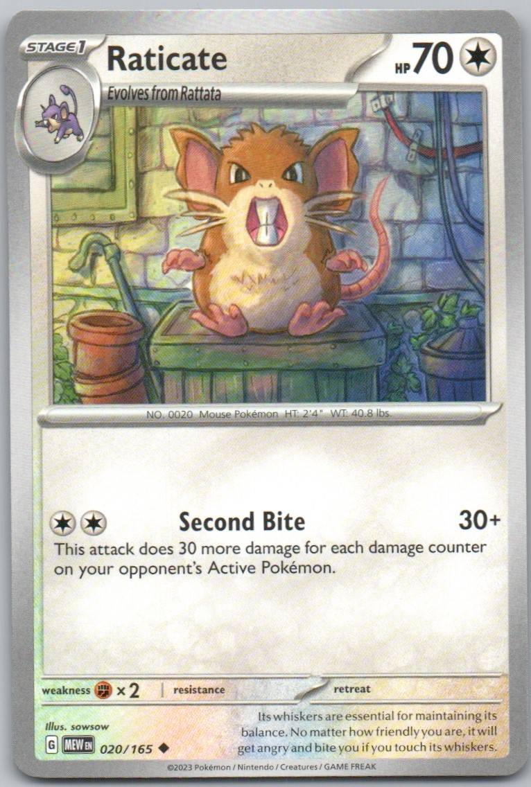 20 - Raticate