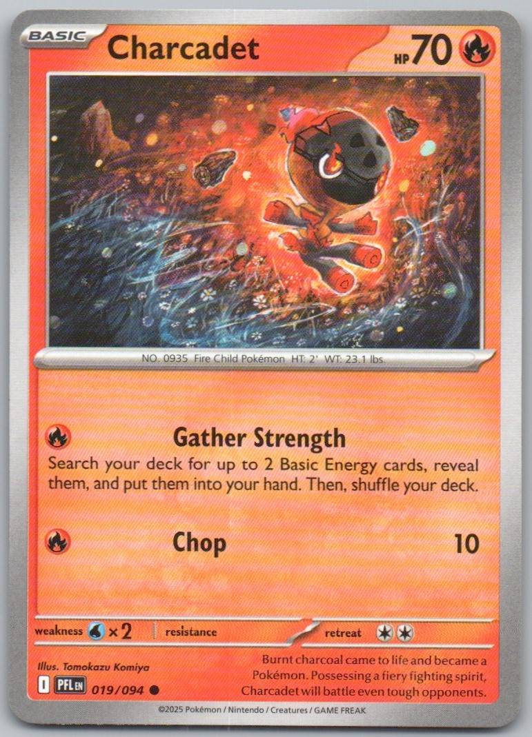 19 - Charcadet