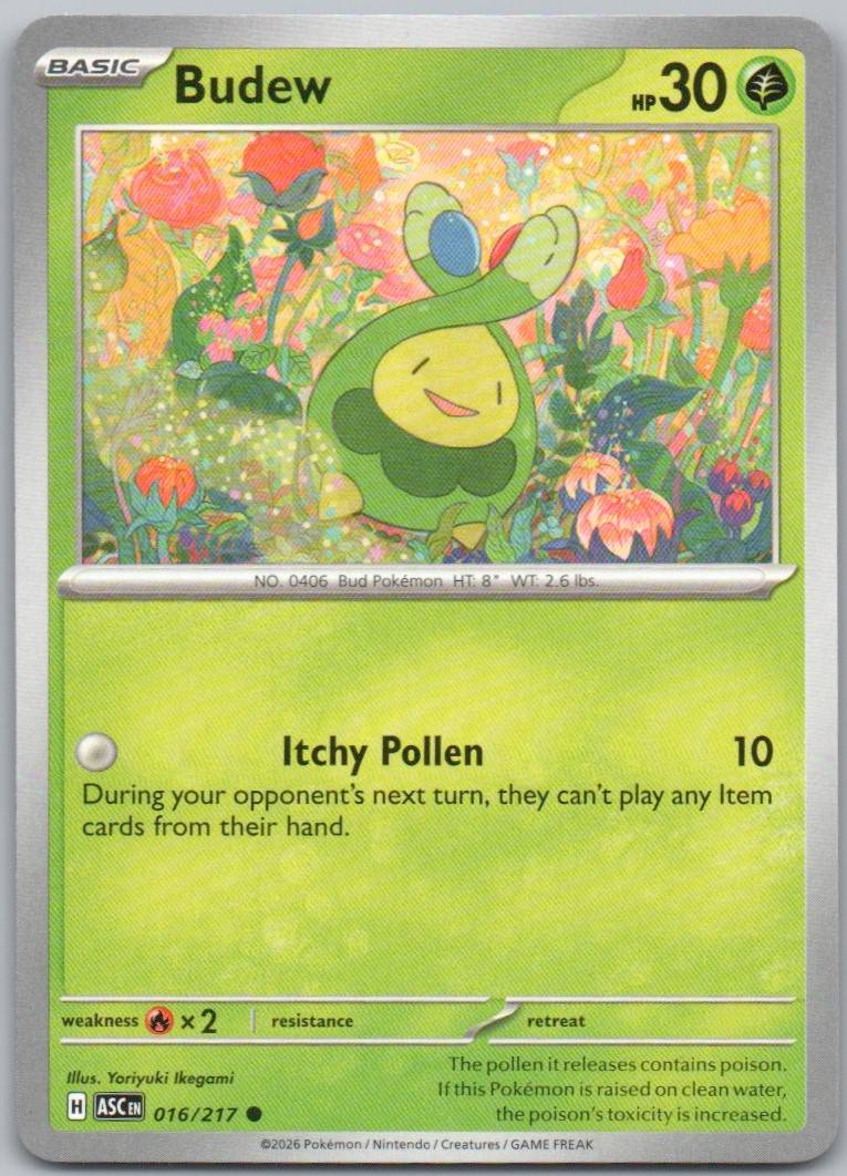 16 - Budew