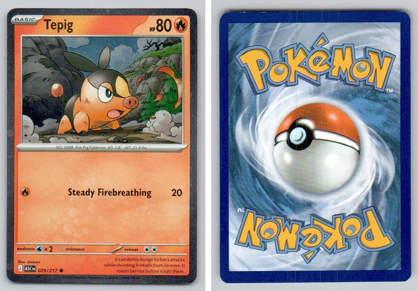 Front + Back scan