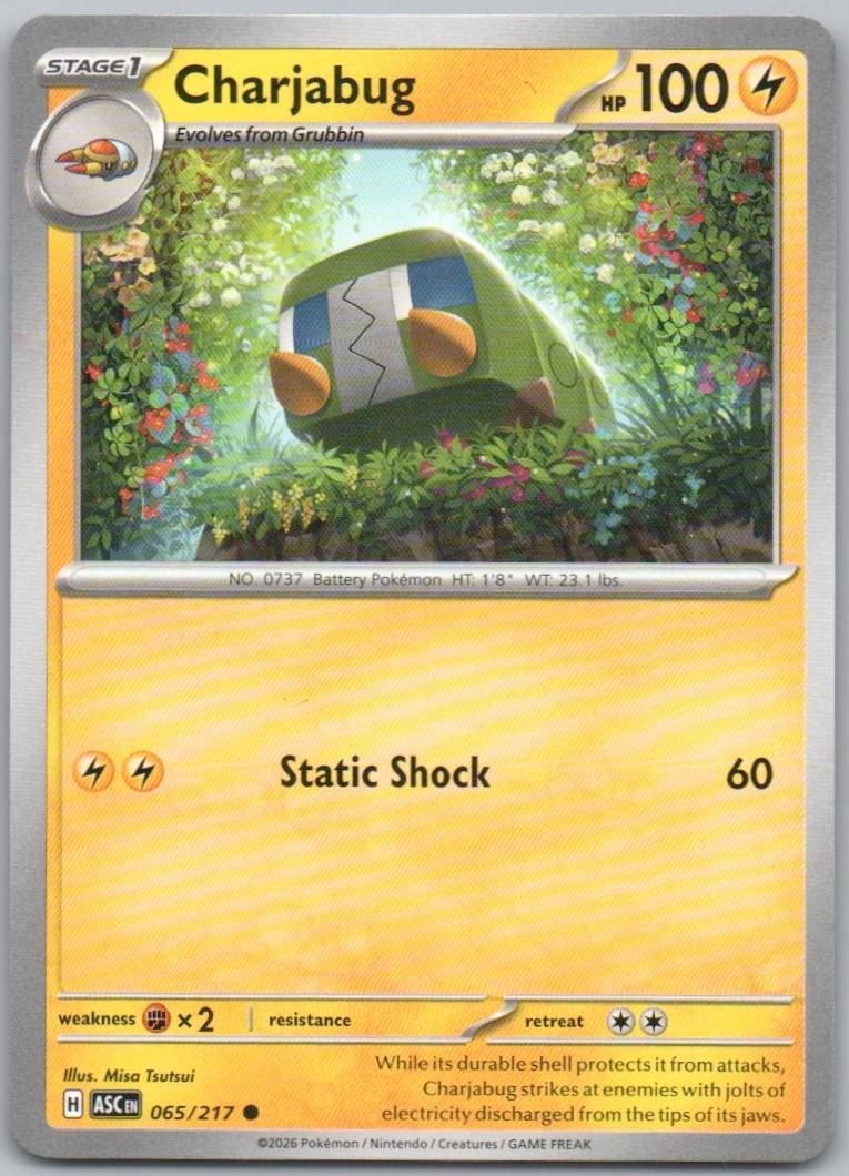 65 - Charjabug