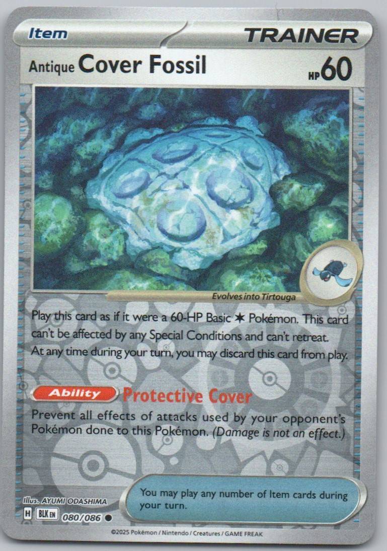 80 - Antique Cover Fossil