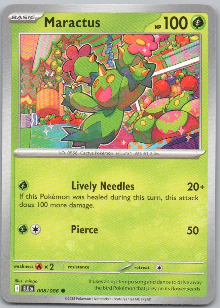 8 - Maractus