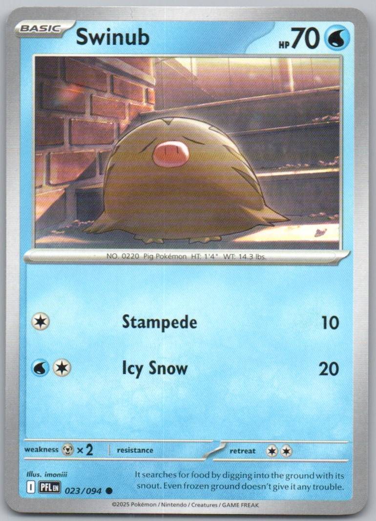 23 - Swinub