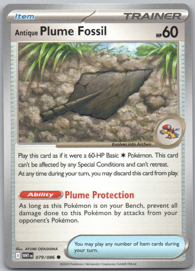 79 - Antique Plume Fossil