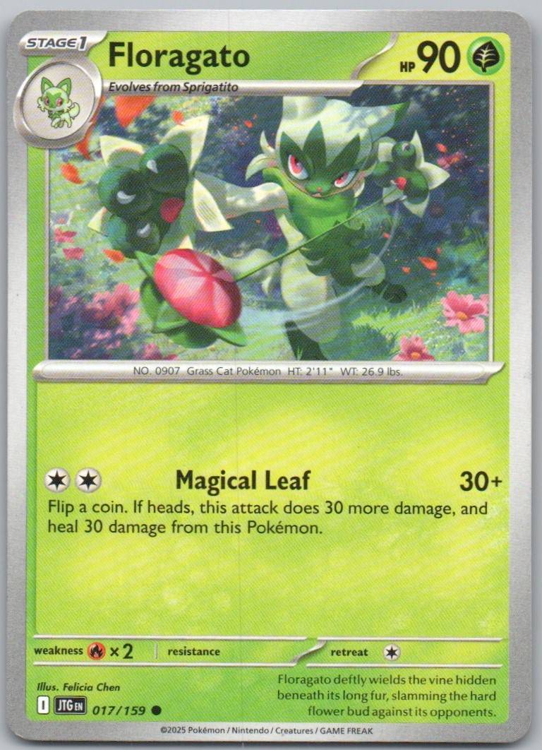 17 - Floragato