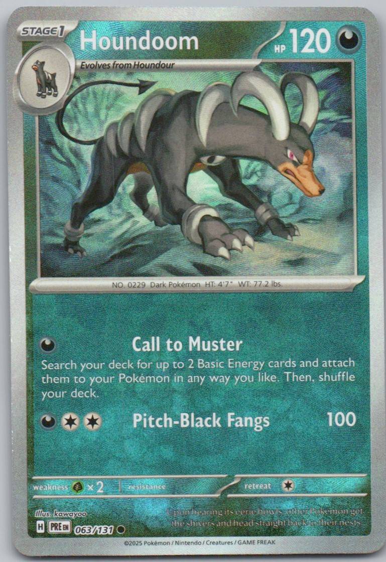 63 - Houndoom (Master Ball Pattern)