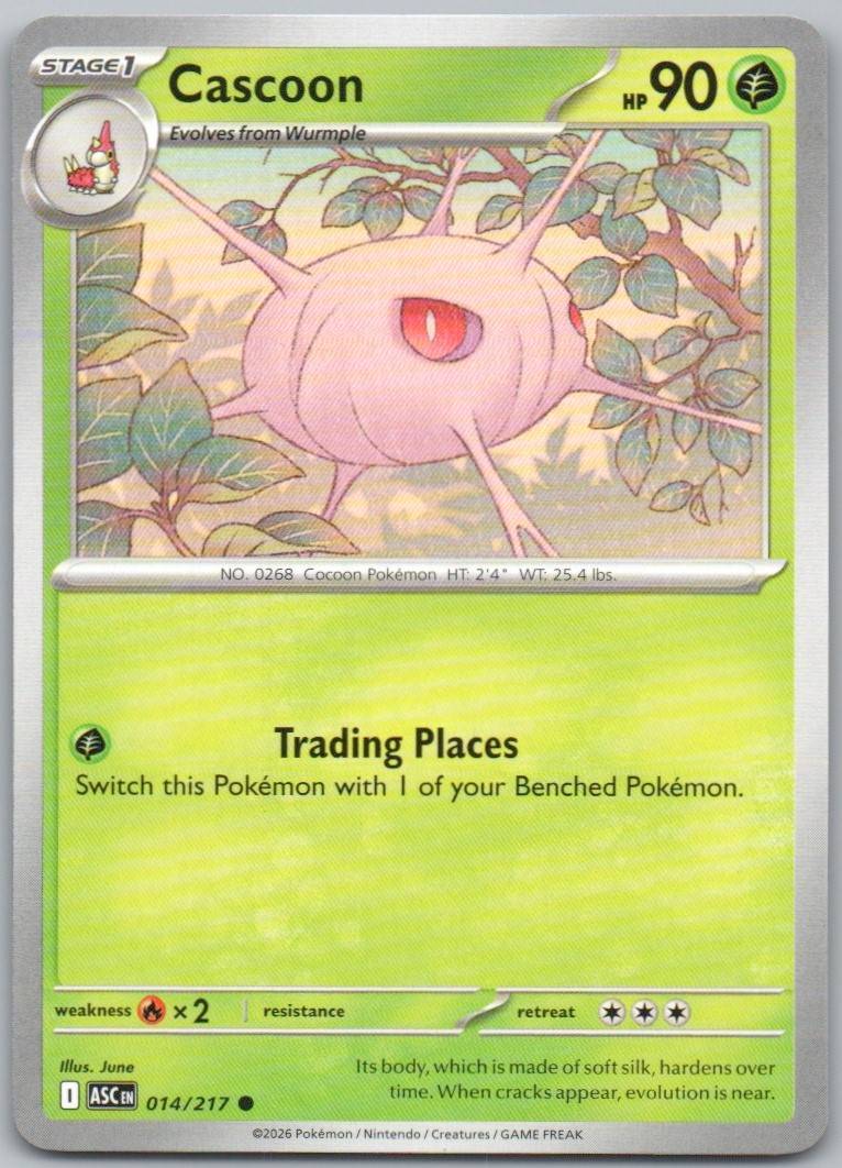 14 - Cascoon