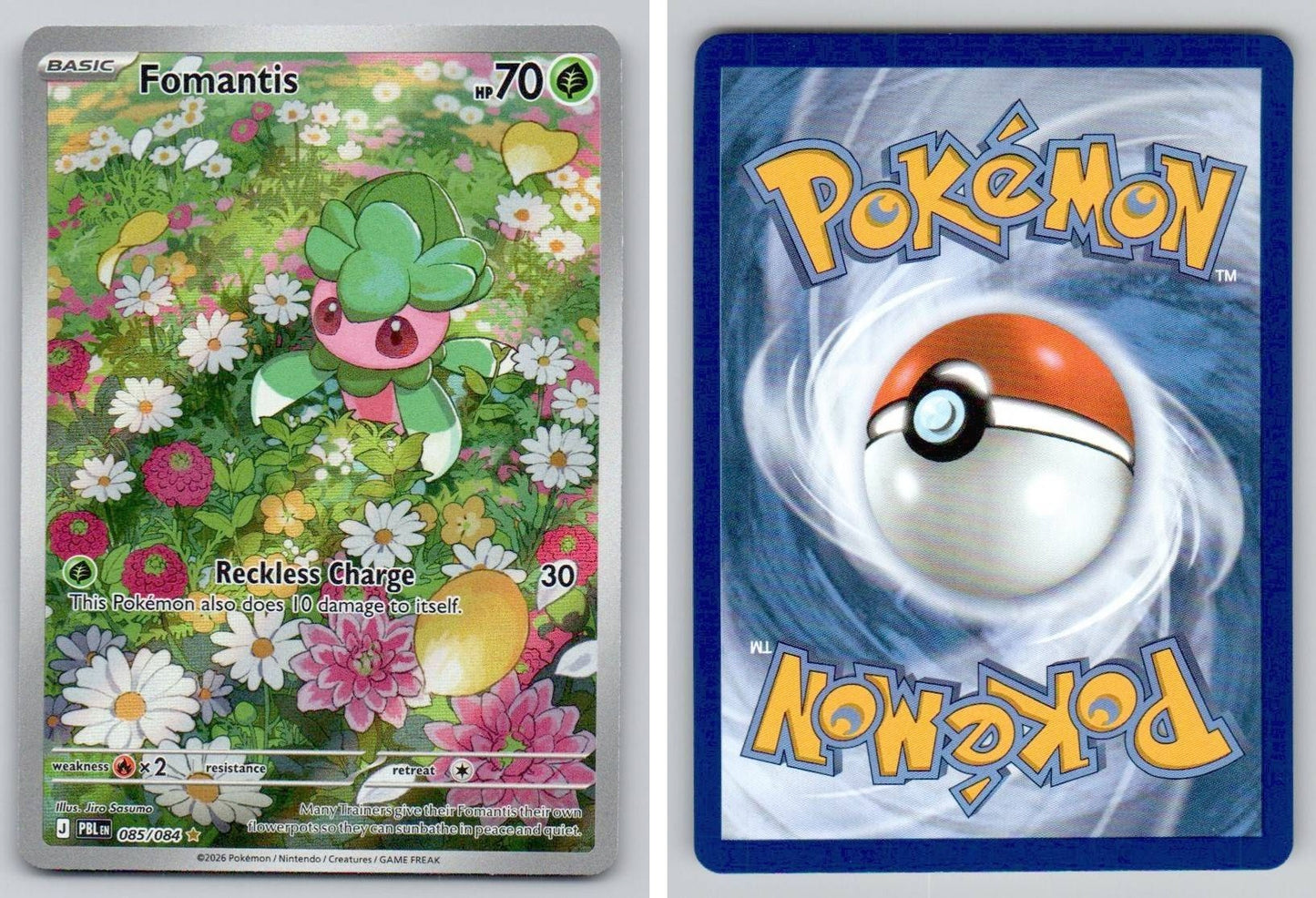 Front + Back scan