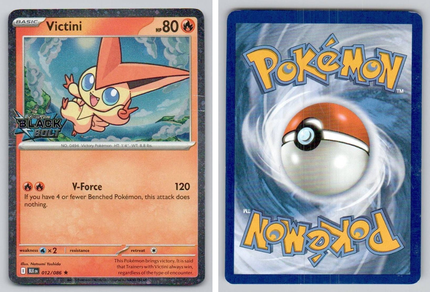 Front + Back scan