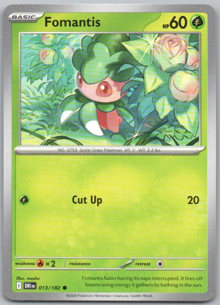 13 - Fomantis