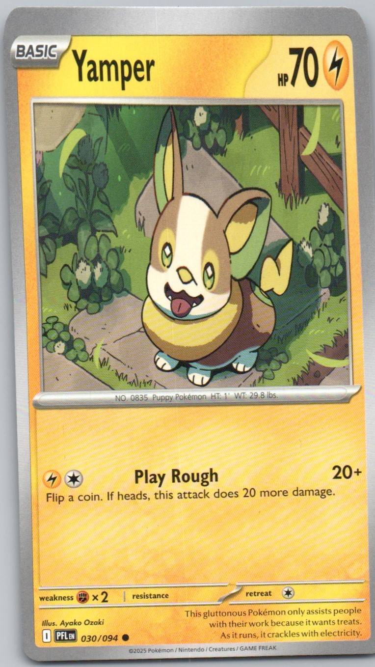 30 - Yamper