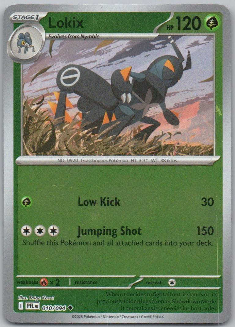 10 - Lokix