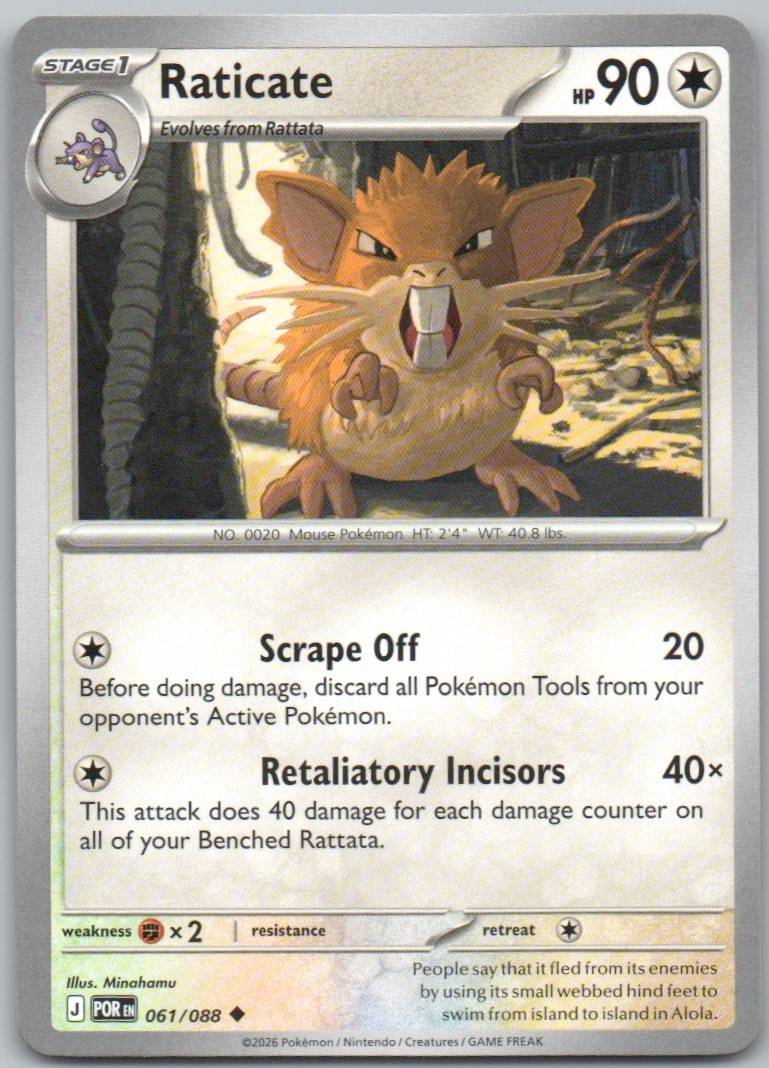 61 - Raticate