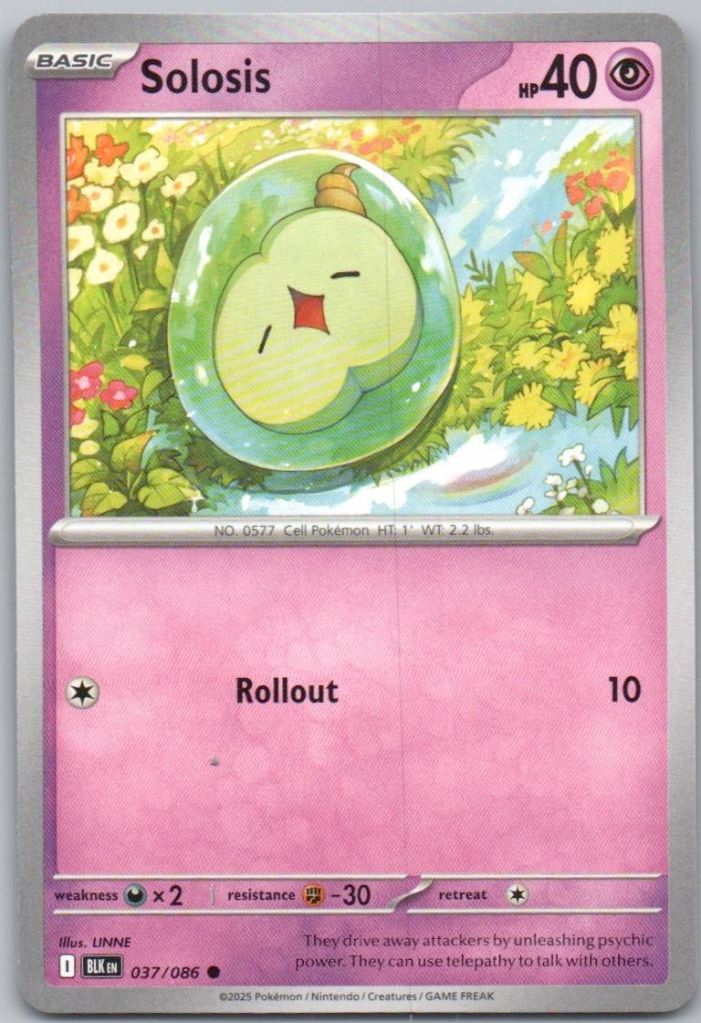 37 - Solosis