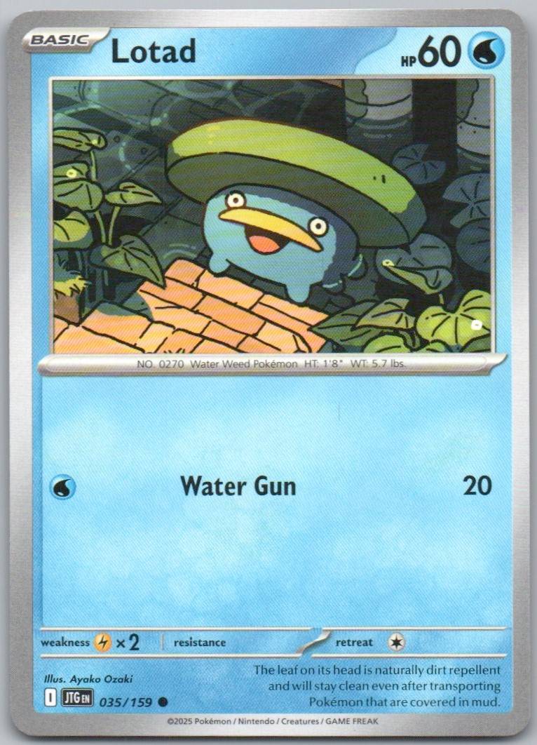 35 - Lotad