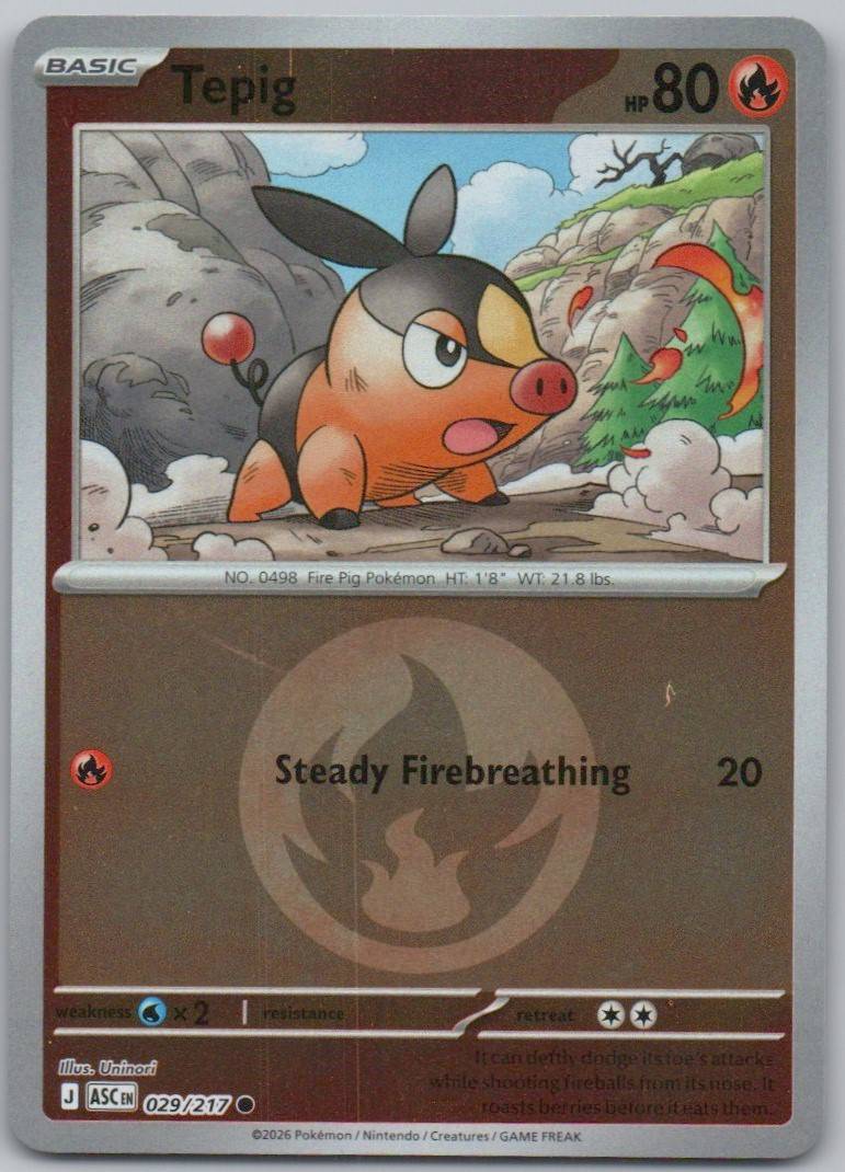 Tepig (Energy Symbol Pattern) 029 HOL Card - Ascended Heroes