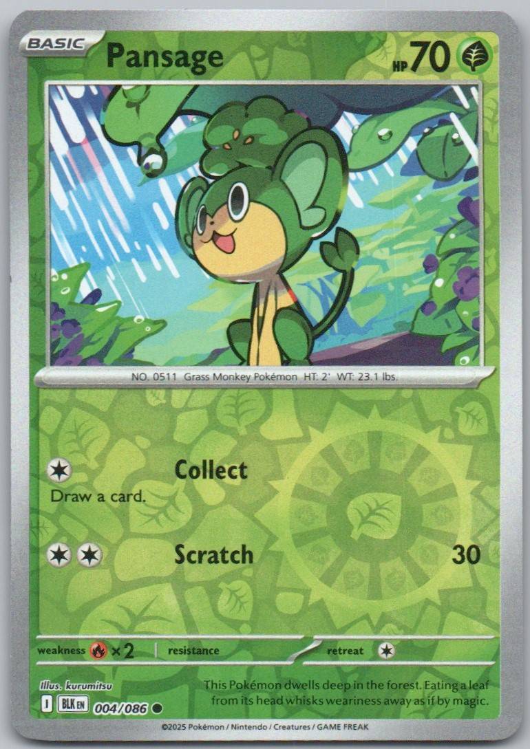 4 - Pansage