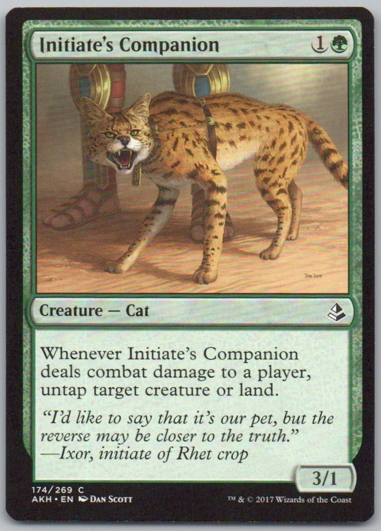 Initiate's Companion 174 Normal Creature Card - Amonkhet