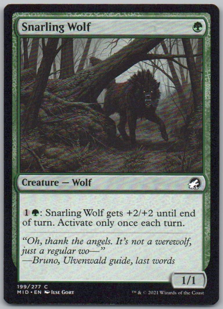 Snarling Wolf 199 Normal Creature Card - Innistrad: Midnight Hunt