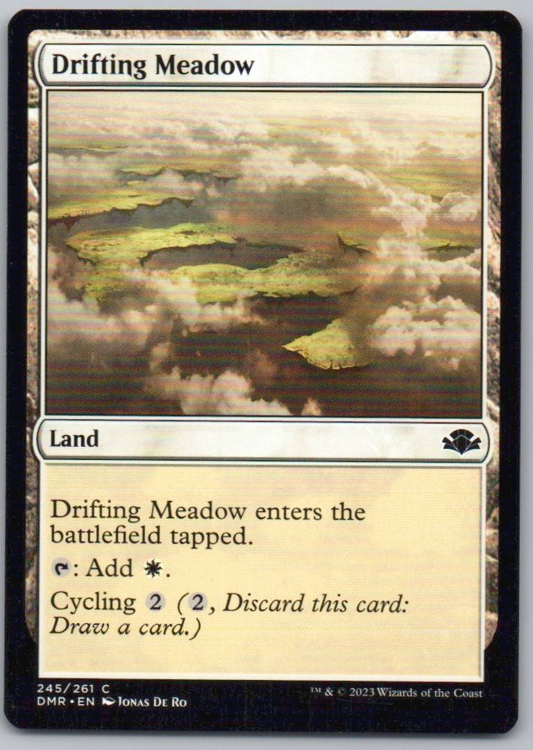 Drifting Meadow 245 Normal Land Card - Dominaria Remastered