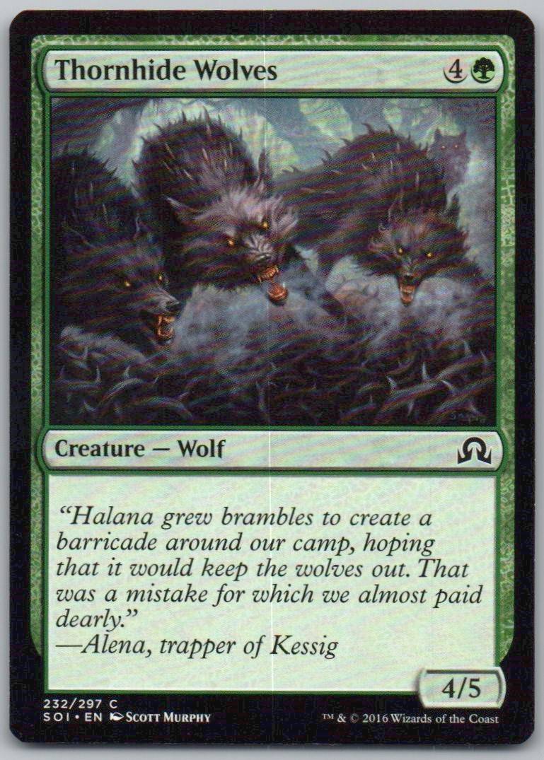 Thornhide Wolves 232 Normal Creature Card - Shadows over Innistrad