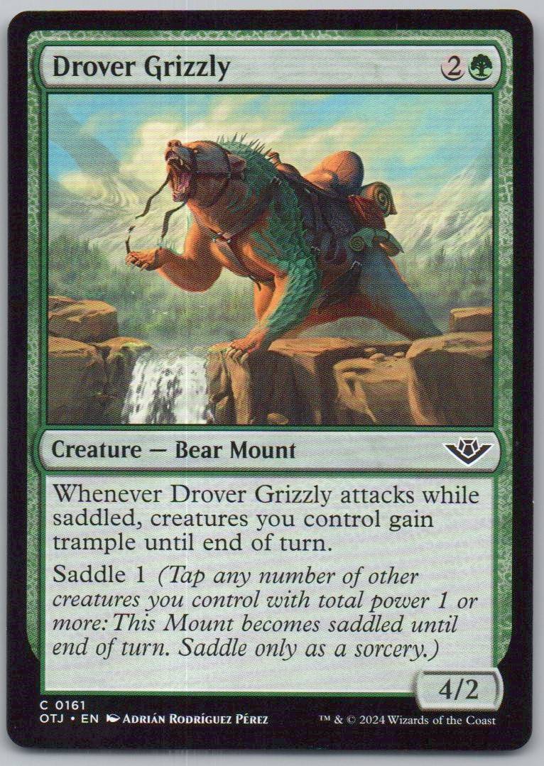 Drover Grizzly 161 Normal Creature Card - Outlaws of Thunder Junction