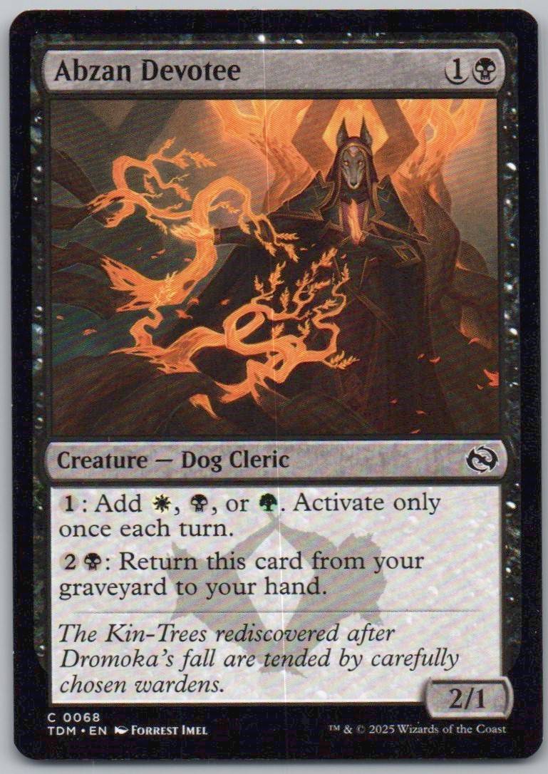 Abzan Devotee 68 Normal Creature Card - Tarkir: Dragonstorm