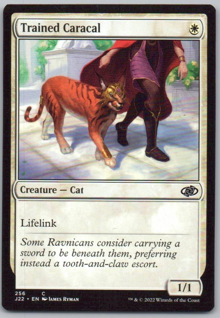 Trained Caracal 256 0 Creature Card - Jumpstart 2022