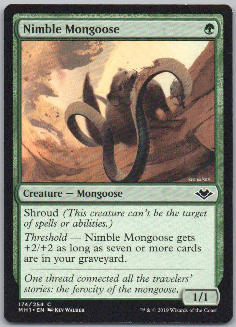 Nimble Mongoose 174 Normal Creature Card - Modern Horizons