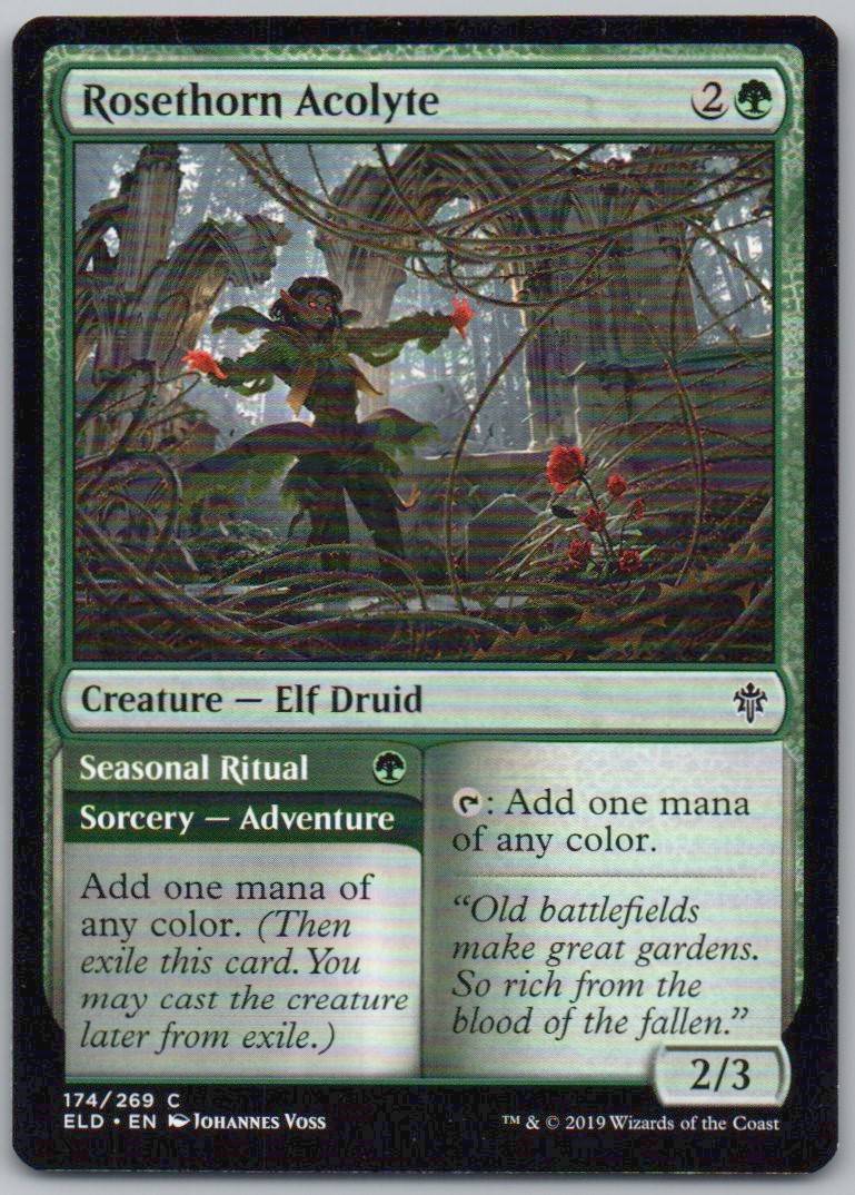 Rosethorn Acolyte 174 Normal Creature Card - Throne of Eldraine