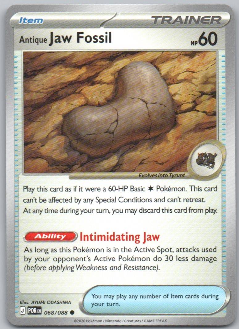 68 - Antique Jaw Fossil