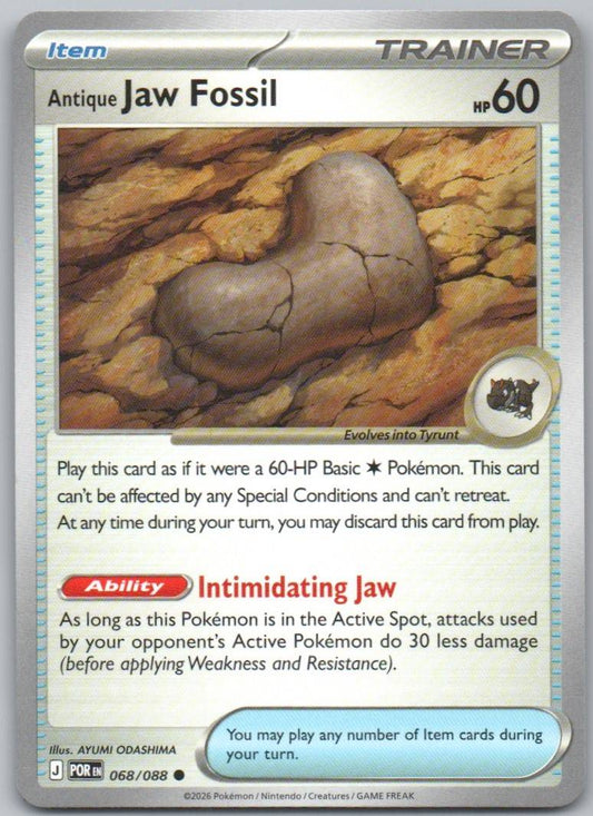 68 - Antique Jaw Fossil