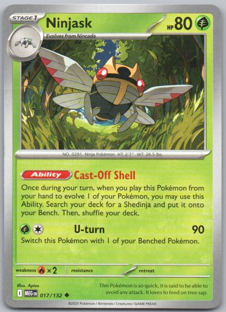 17 - Ninjask