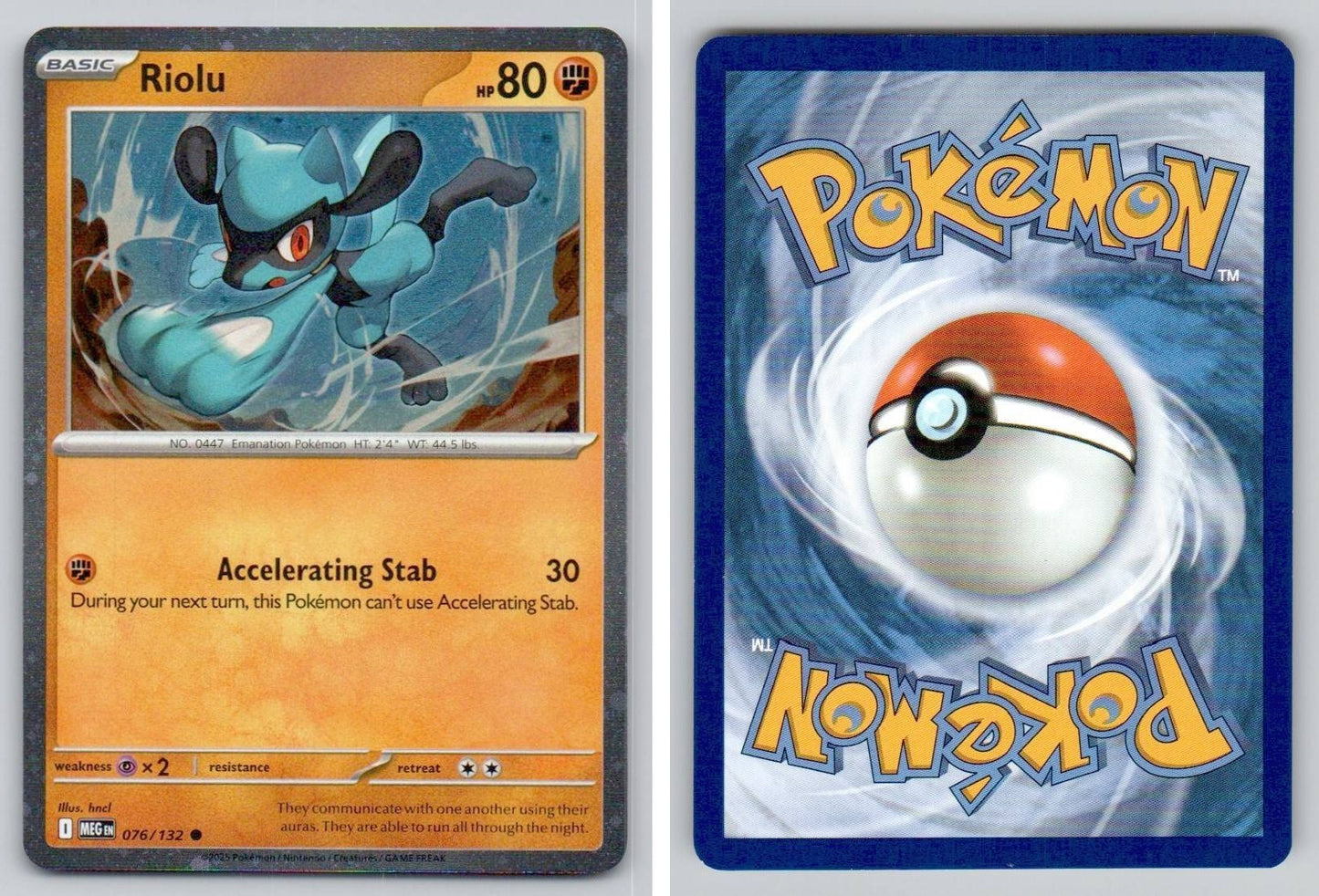 Front + Back scan