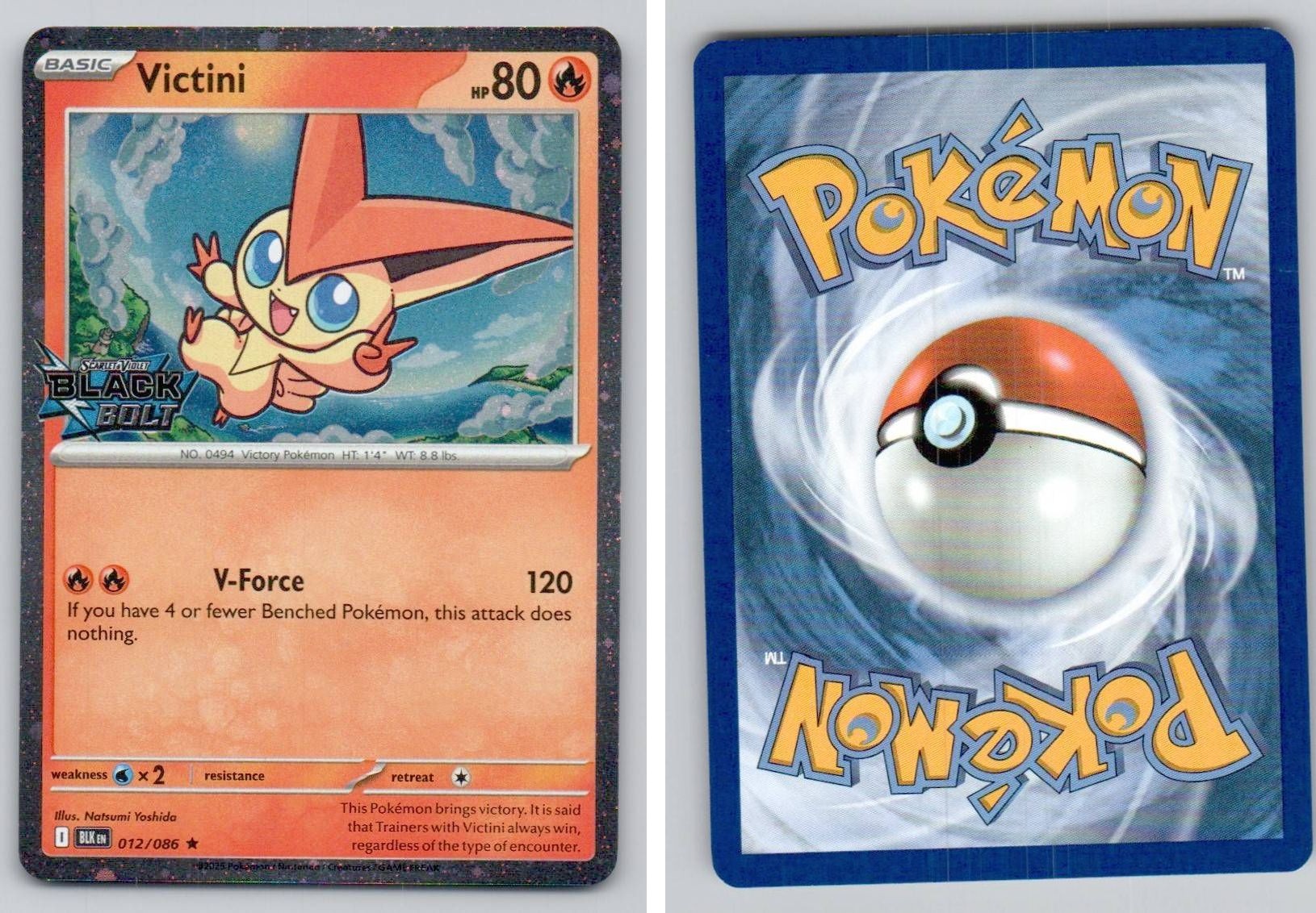 Front + Back scan