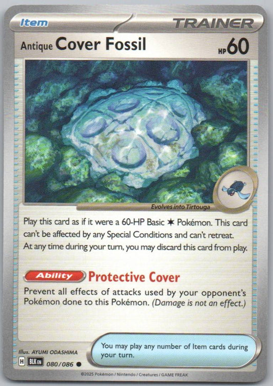 80 - Antique Cover Fossil