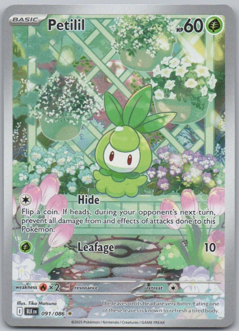 Petilil 091 HOL Card - Black Bolt