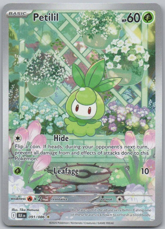 Petilil 091 HOL Card - Black Bolt