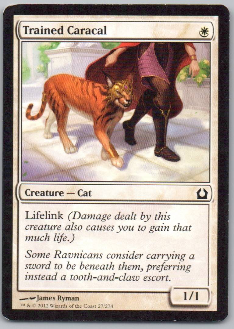 Trained Caracal 27 Normal Creature Card - Return to Ravnica