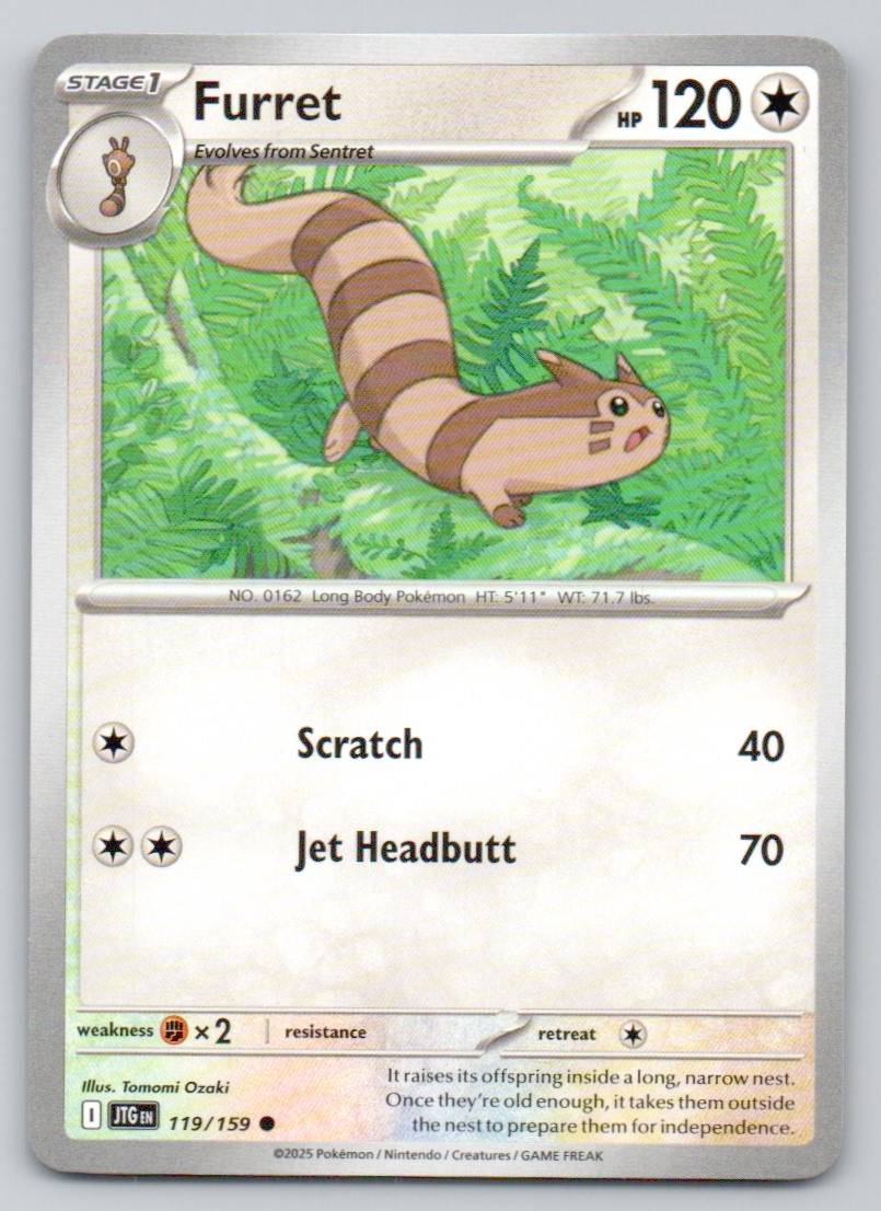 Furret 119 NOR Card - Journey Together