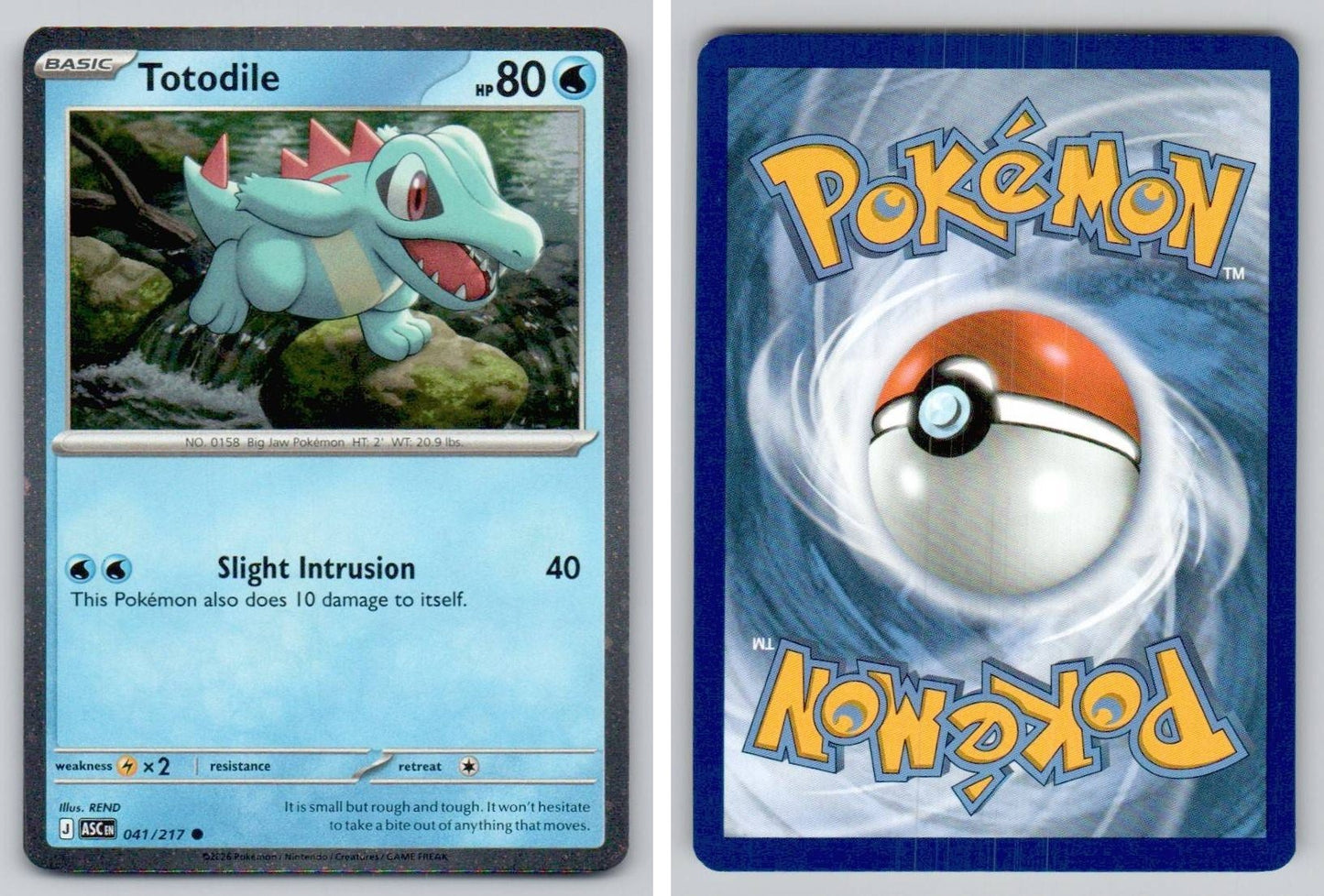 Front + Back scan