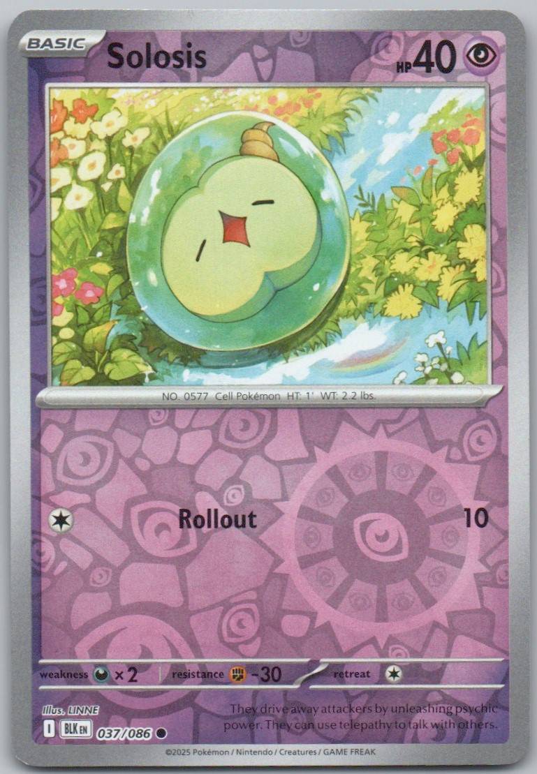 37 - Solosis