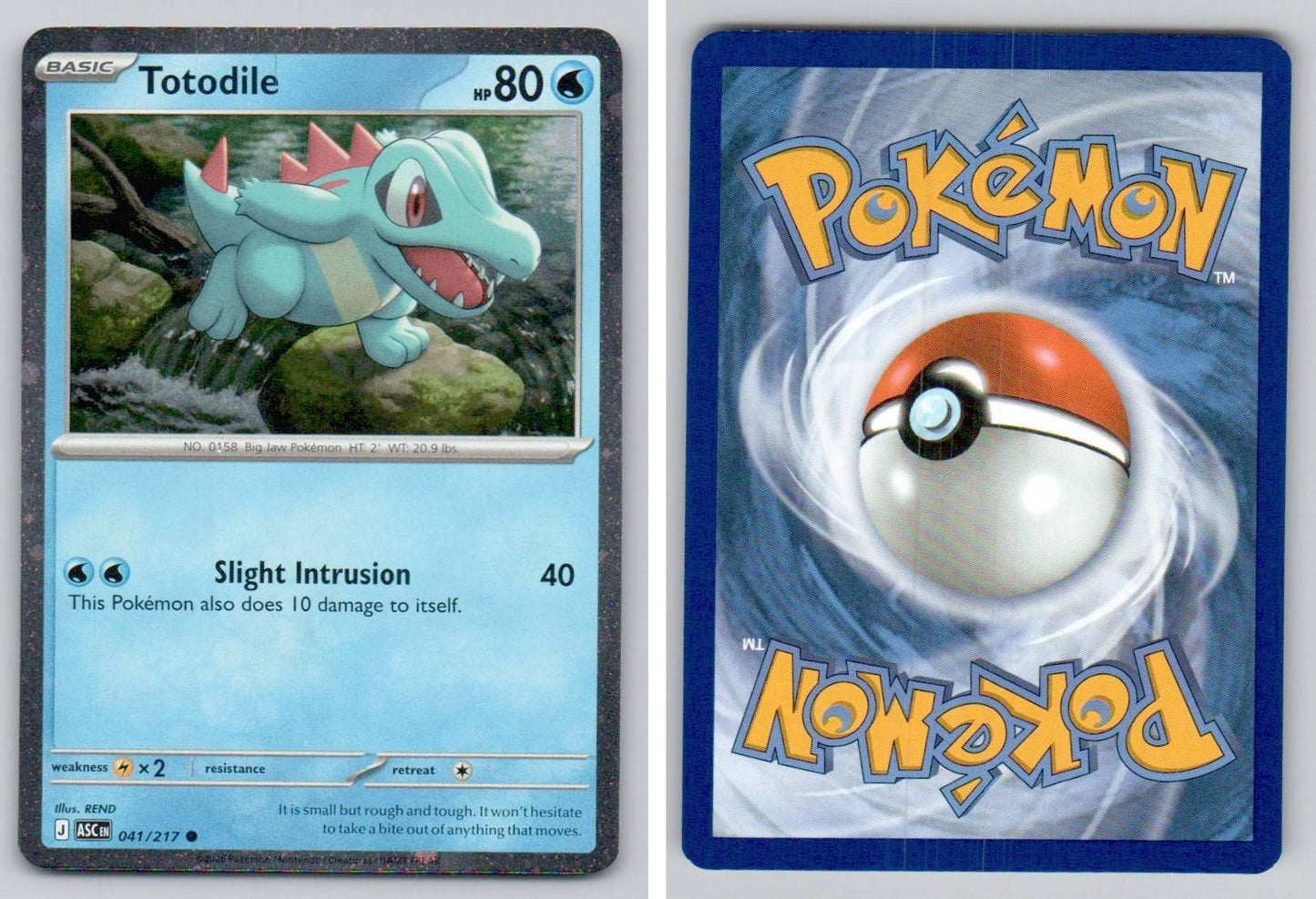 Front + Back scan