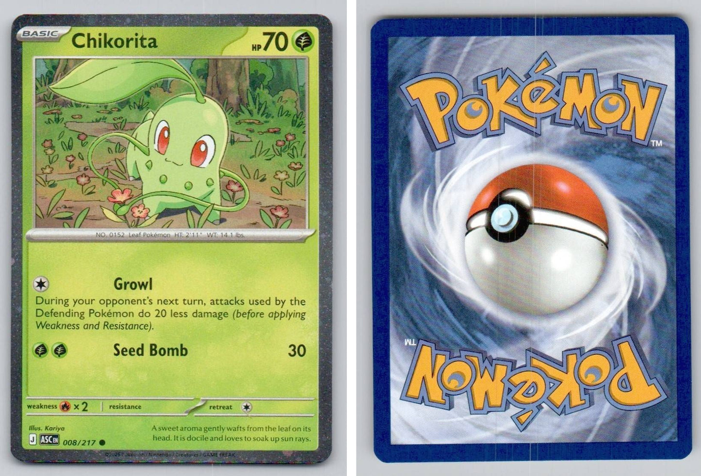 Front + Back scan