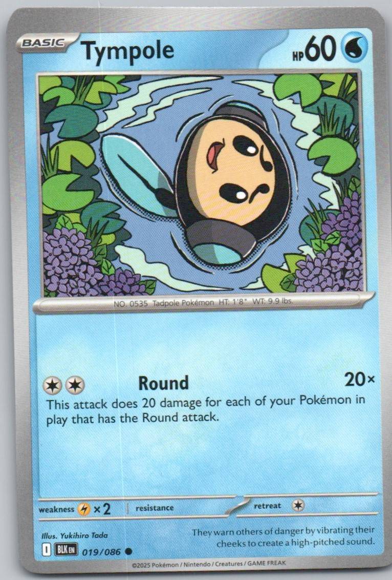 19 - Tympole