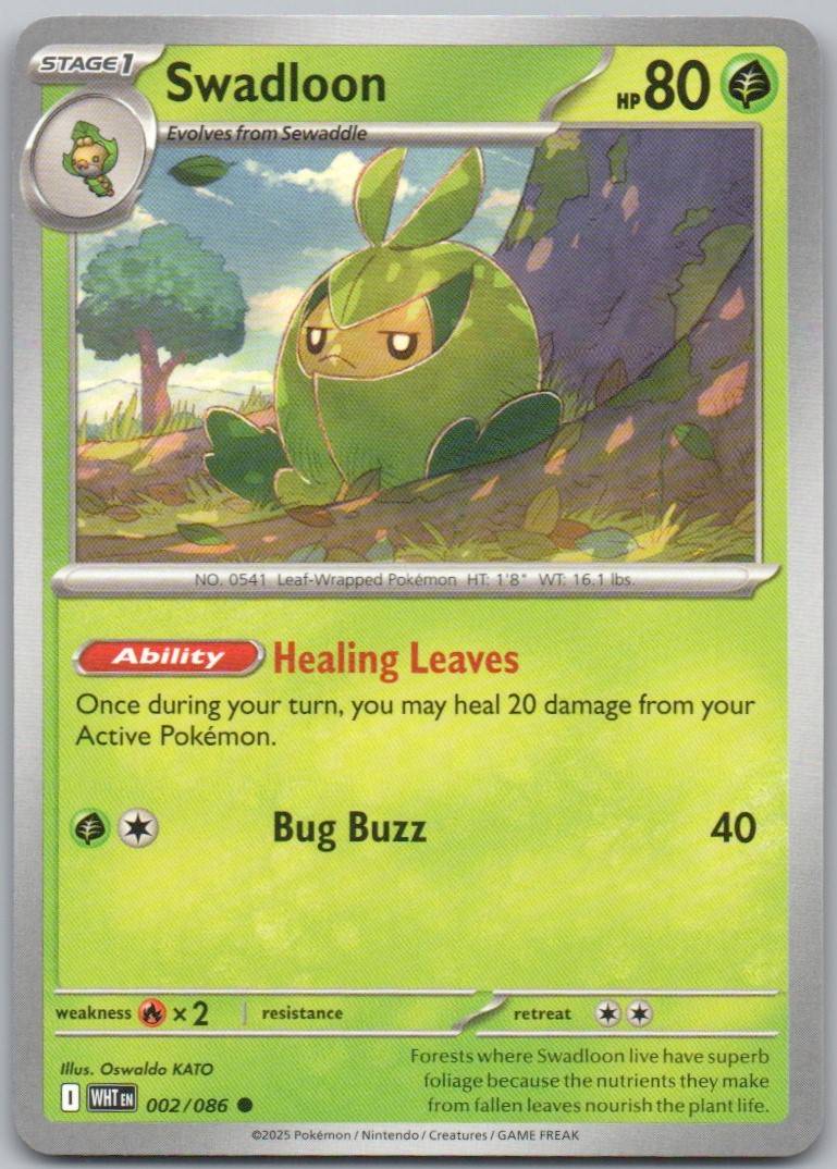 2 - Swadloon