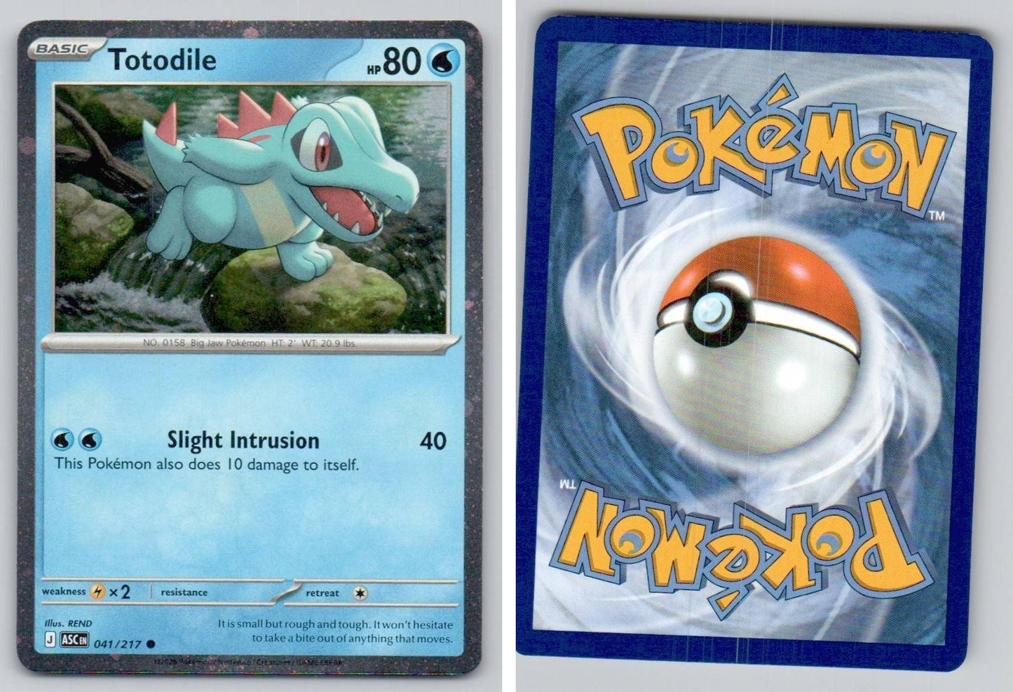 Front + Back scan